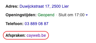 google bedrijfsprofiel